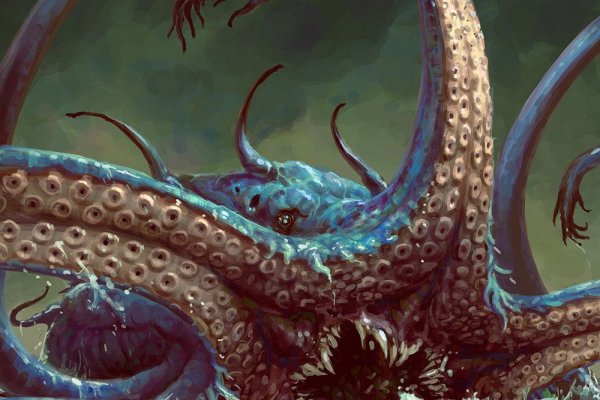 Kraken19 at