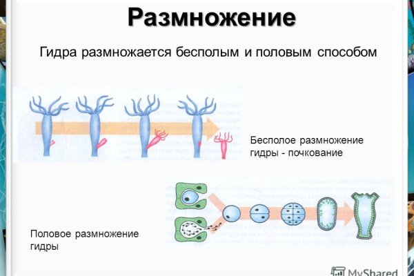 Кракен маркетплейс что продают